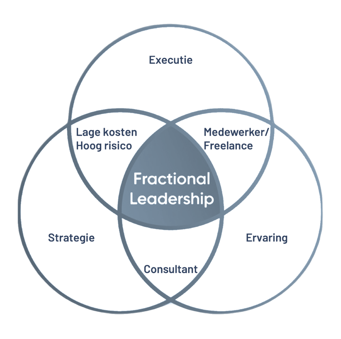 Afbeelding Fractional Leadership